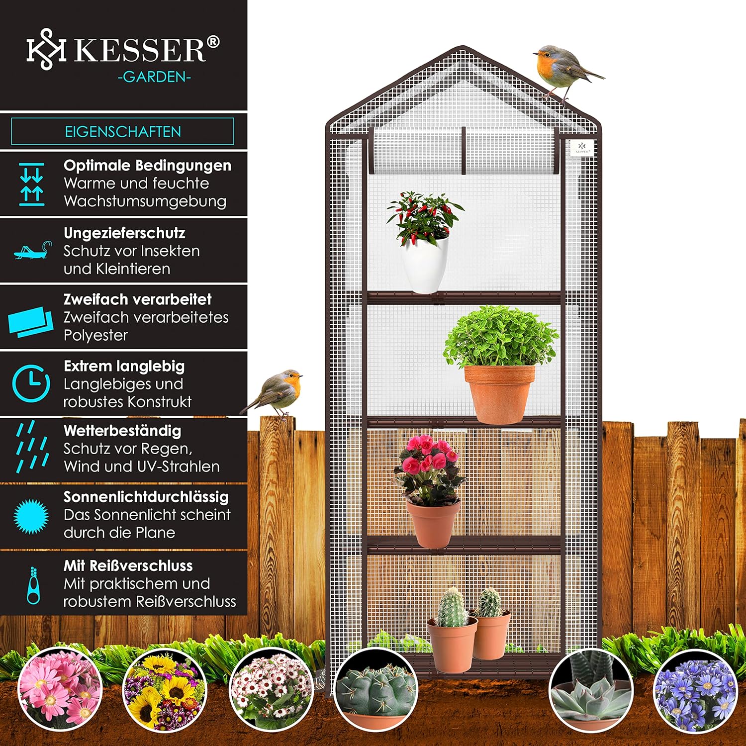 KESSER Premium Folien-Gewächshaus 4 Ebenen – 69x50x158 cm, 4 Regale, platzsparend